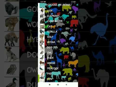 Sounds of Animals Video