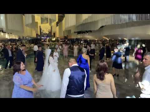 Taraf Nobil&Leanca Mardari - Muzica ușoară (cover), solist - Radu Chiochiu.