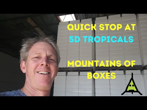 A quick stop at 5D tropical, a large wholesale aquarium fish distributor in Florida.