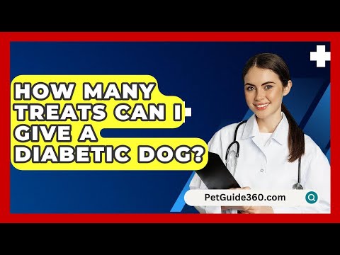 How Many Treats Can I Give A Diabetic Dog? - PetGuide360.com
