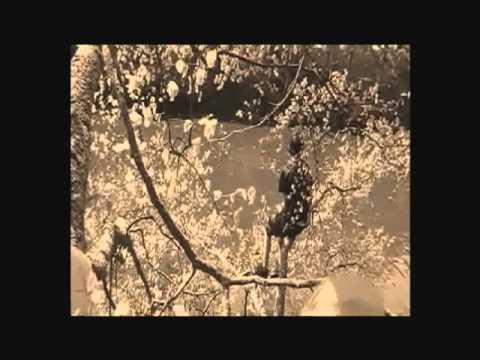 le dormeur du val ! film de Lysandre Cherel.wmv