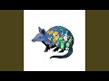 The Armadillo