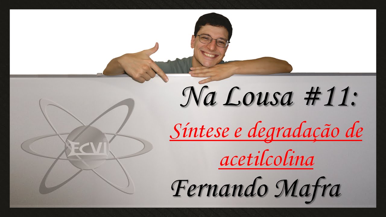 Na lousa #11: Síntese e degradação de acetilcolina