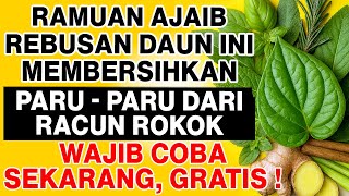 Download lagu Ramuan Nenek yang Terlupakan! Daun INI Bisa Bersihkan Paru-Paru dari Racun Rokok! mp3