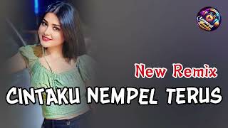Download lagu Dhut Populer Terbaru 2026 🔥 CINTAKU NEMPEL TERUS 💘 New Remix Full Bass Enak Buat Joget mp3