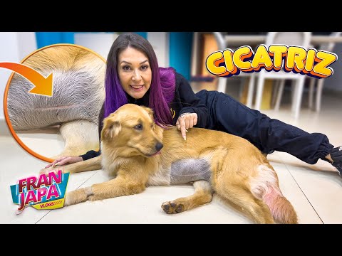 MOSTREI A CICATRIZ DA CASTRAÇÃO DA HELENA - Fran Japa
