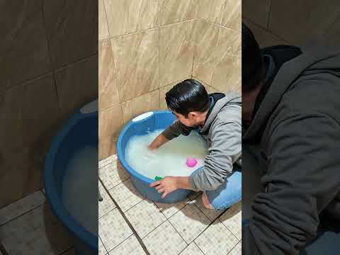 Heal your dog's skin with oatmeal baths 👌🏻💯🐶 #dogs #pets #canecorso #canineeducation