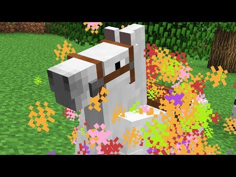 CALUL MAGIC DIN MINECRAFT!