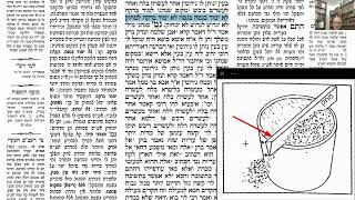 דף יומי מסכת בבא בתרא דף פח Daf yomi Masechet Bava Batra page 88  ע"י יוני גוטמן (שיעורי הדף היומי ב-20 דקות - מועבר ע"י ר' יוני גוטמן - לעילוי נשמת אביו ר' אלימלך צבי (צביקה) גוטמן ז"ל) - התמונה מוצגת ישירות מתוך אתר האינטרנט יוטיוב. זכויות היוצרים בתמונה שייכות ליוצרה. קישור קרדיט למקור התוכן נמצא בתוך דף הסרטון