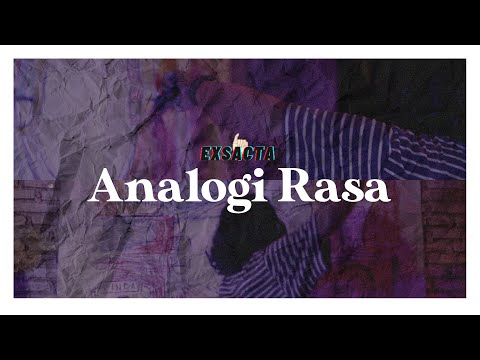 EXSACTA - ANALOGI RASA (MV)