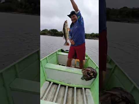 🎣🔥 TUCUNARÉ É COM A GENTE! 🐟🌿Aqui em Rio Preto da Eva – Amazonas, a aventura é garantida! 🚤