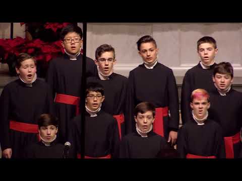 Raleigh Boychoir - Performing Choir - O Holy Night - Adam