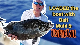 Solo Mahi Mayhem + Tripletail Jackpot! (How to Rig Ballyhoo & Troll Like a Pro)