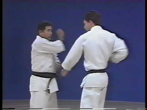 goju ryu blocking techniques morio higaonna