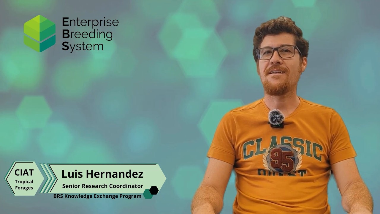 CIAT: Luis Hernández