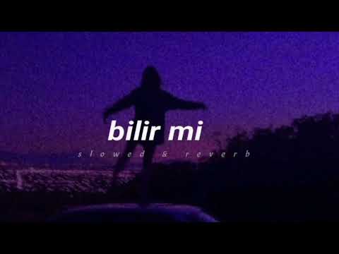 Feride Hilal Akın - Bilir mi - (Slowed & Reverb)