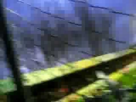 Meldert-Eendracht aals (na de match)