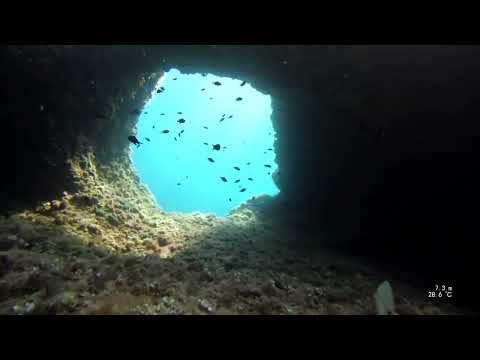 2023 08 23 diving cheese   4K