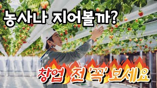 할 것도 없는데 시골가서 농사나 지어볼까? / 빚쟁이 지름길