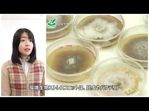 植物検疫製品の有効成分リスト - 定義