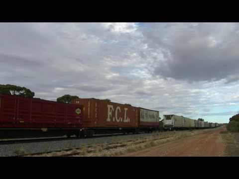 NR81 and NR30 on 7MP7