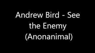 Andrew Bird - See the Enemy (Anonanimal) HD