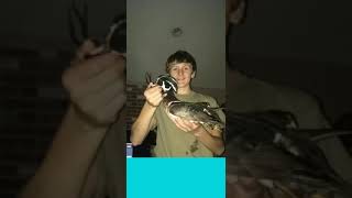 Some of my 2018 hunts!!