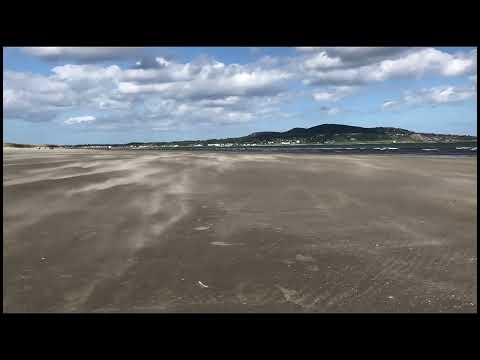 🌿 Life As It Goes| Whispers of North Bull Island #NorthBullIsland #DublinBay #CoastalView#WindyBeach