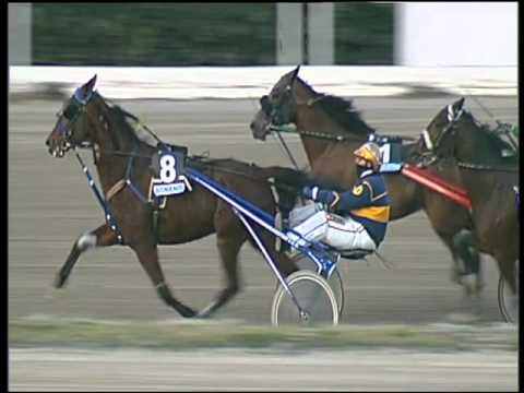 Trotto 31/12/2015 - 4° corsa