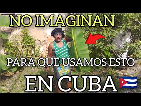 ASI LO HACEMOS EN CUBA // 🧑‍🍳🍴