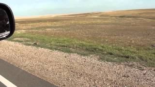 Prairie Dog in Badlands National Park