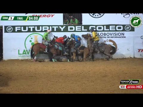 Coleo Futurity Grand Final (Last rounds of the Final)