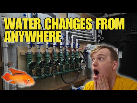 These Aquariums Change Water From Anywhere In The World! (Automatic Water Change System)