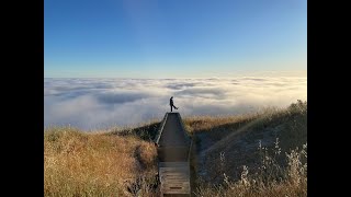 Djerassi Resident Artists Program | Where Art Originates