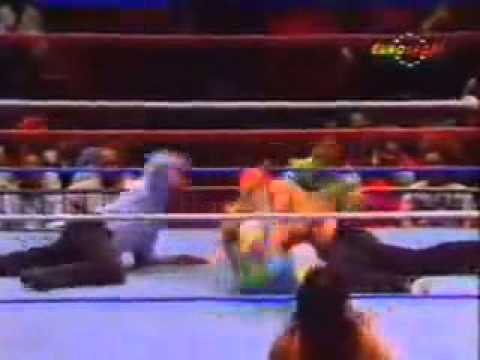 WWF   91  Shawn vs  Kato