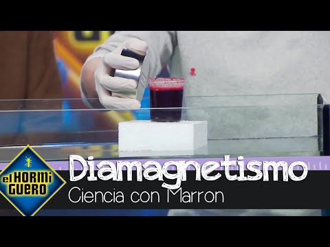 ¿Sabías qué la sangre huye de los imanes? Marron lo demuestra - El hormiguero