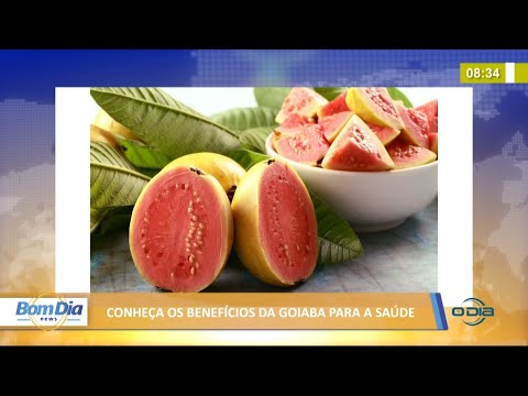 Benefícios da goiaba para a saúde 08 07 2021