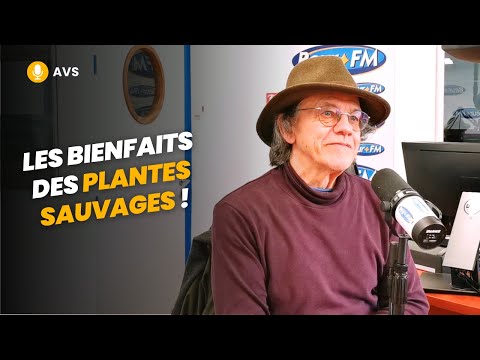 [AVS] Les bienfaits des plantes sauvages ! - François Couplan