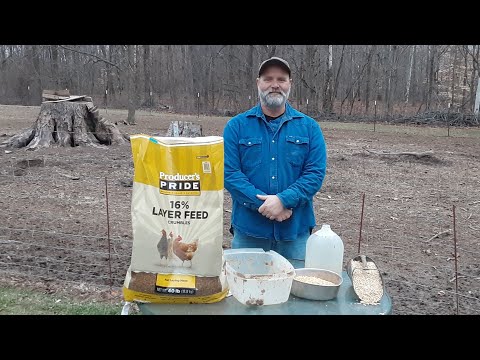 Review video 1 Review video 1