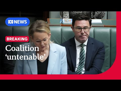 Nationals announce split from Coalition over hate speech laws | ABC NEWS