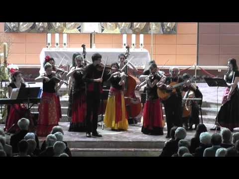 Violons Tziganes - Hungarian 1