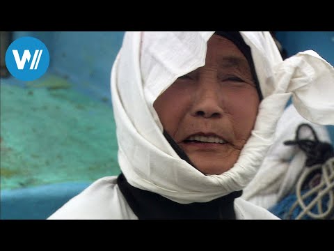 The Mermaids of Japan (360° - GEO Reportage)