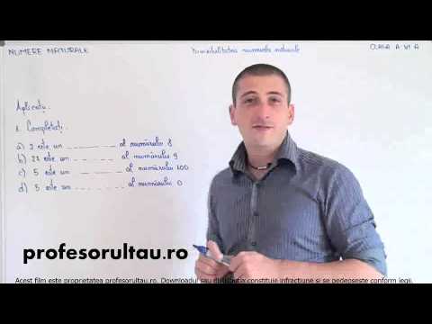 multiple divisor natural numbers - profesorultau.ro