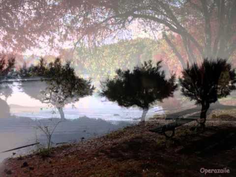 Aafje Heynis: Ombra mai fù (Serse) Händel