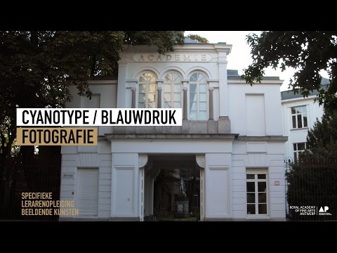 Fotografie, monotype: Cyanotype of Blauwdruk, Grupping Liesbet.