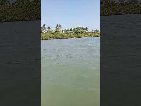 Salinas da Margarida Bahia #rotinadiária #viralvideo #deliciasdacozinha #almococaseiro