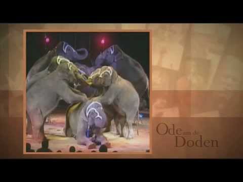 Ode aan de Doden