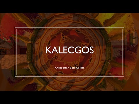 Kalecgos Boss Guide - Sunwell Plateau TBC