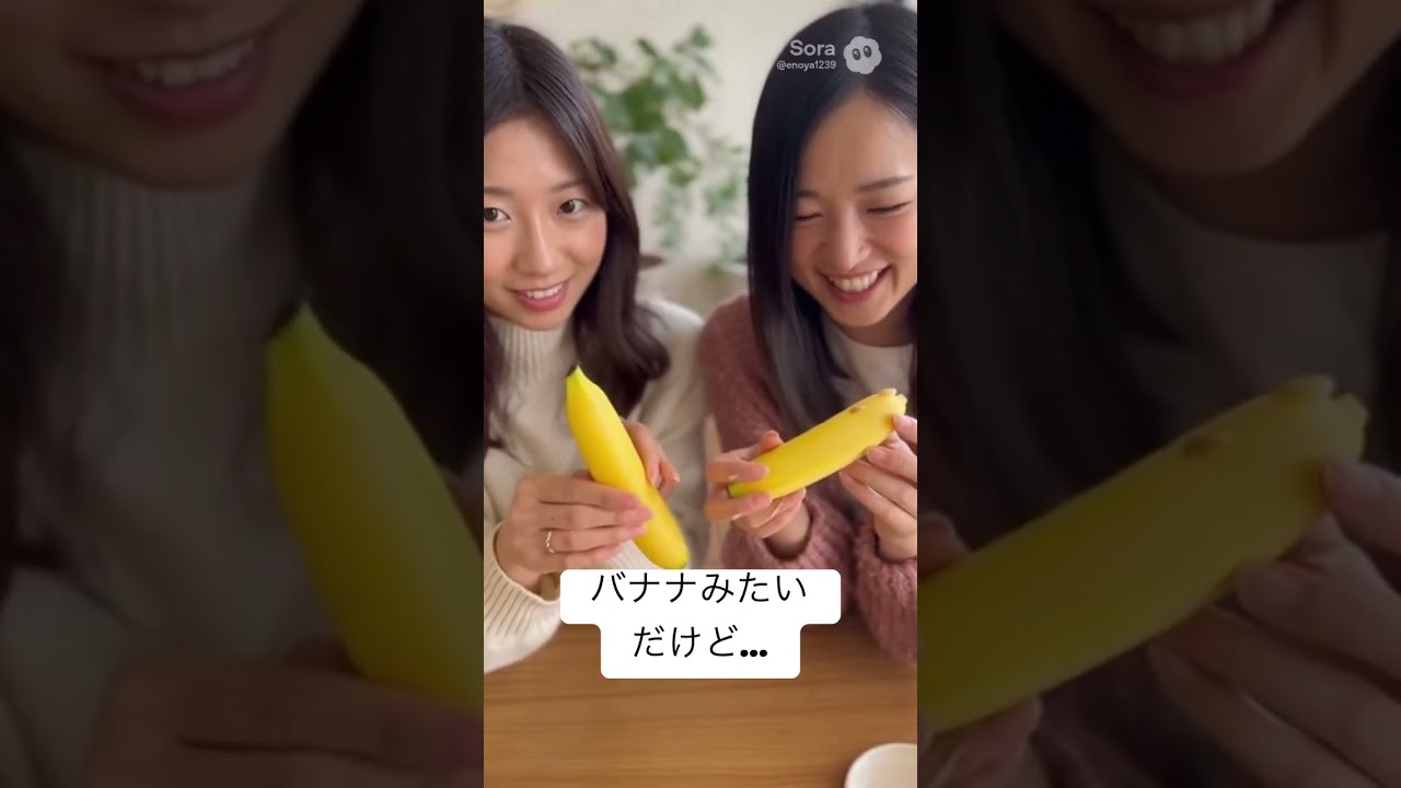 バナナみたいだけど少し違う物とは？