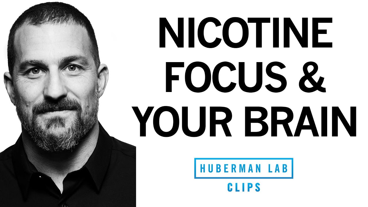 How Nicotine Impacts Your Brain & Enhances Focus | Dr. Andrew Huberman